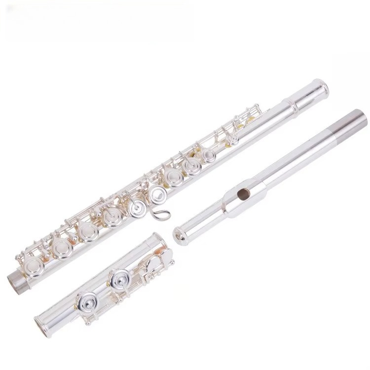 C Key Nickel Plated Brass Prof - Musical Instrument In Orchestra 评论和价格