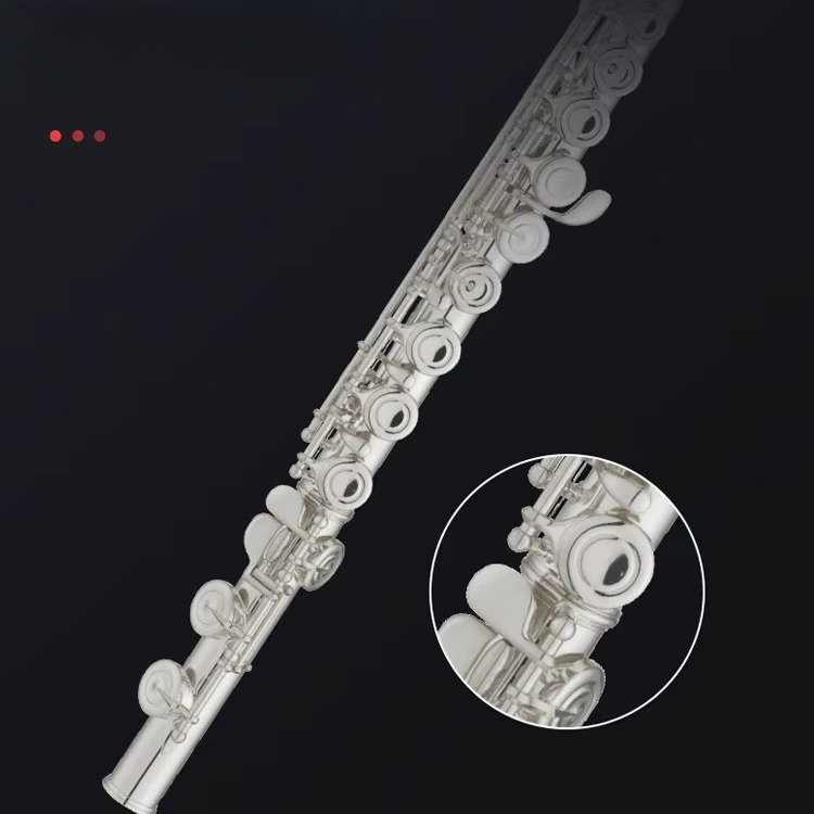 C Key Nickel Plated Brass Prof - Musical Instrument In Orchestra 评论和价格
