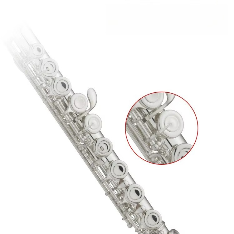 C Key Nickel Plated Brass Prof - Musical Instrument In Orchestra 评论和价格