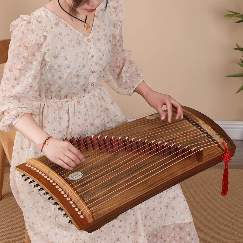 70/100cm Small Guzheng Portabl - Musical Instrument Guzheng 评论和价格